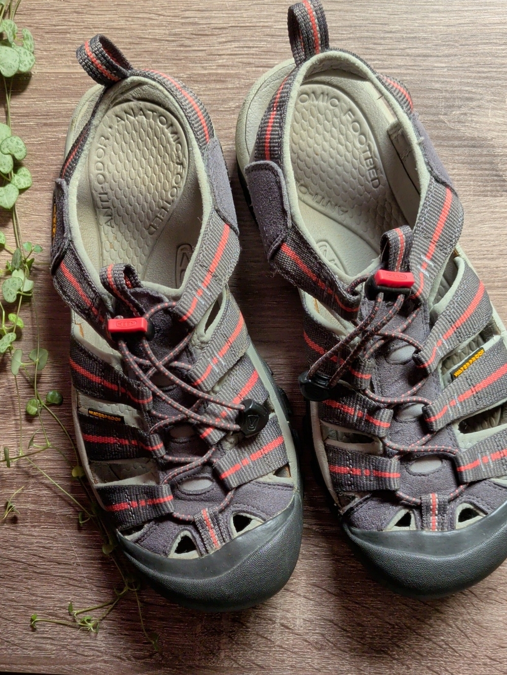 KEEN Women's Gray Sandals With Coral Accents